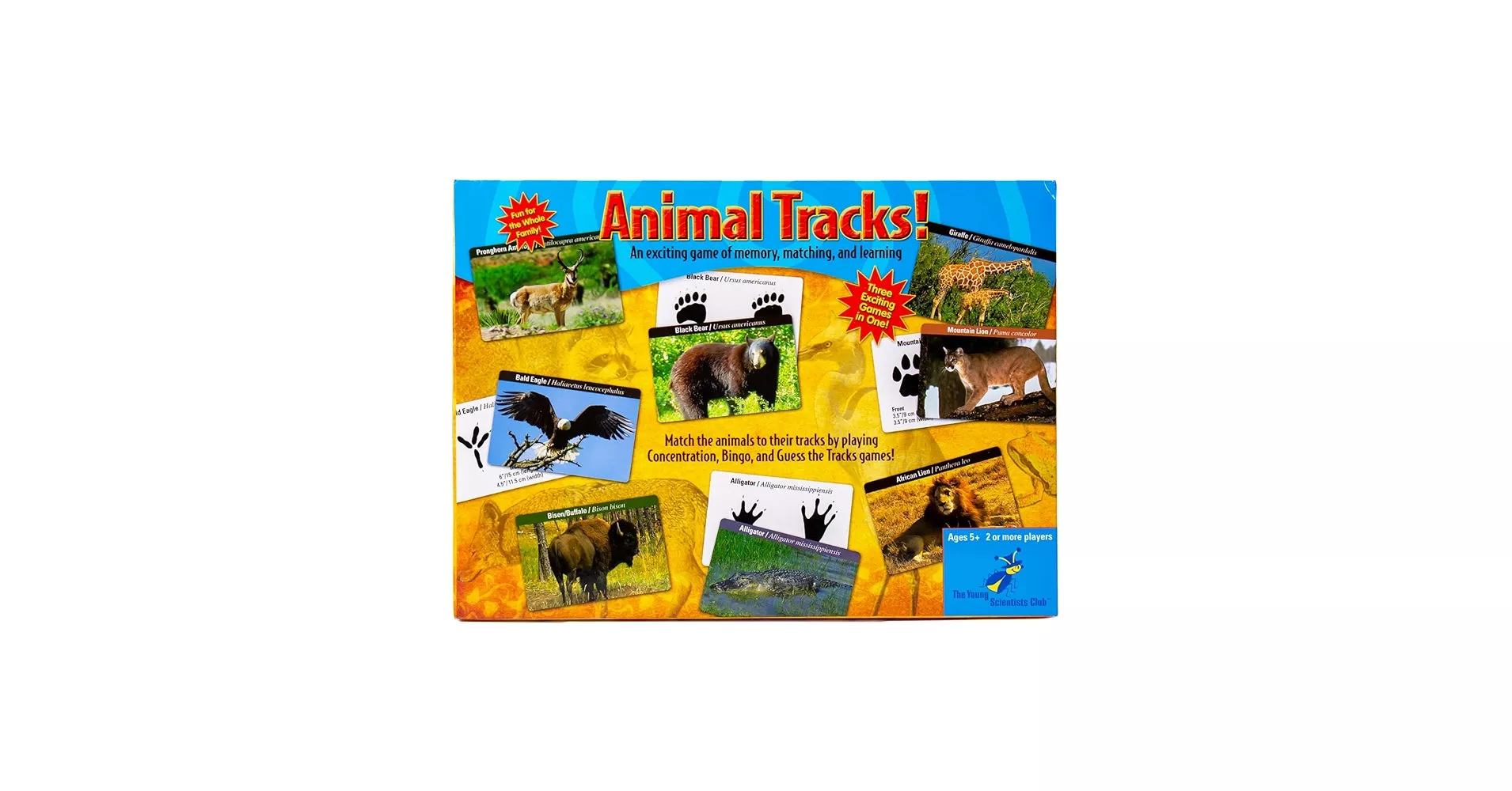 National Geographic Young Scientists Animal Tracks Game - Explore African Wildlife